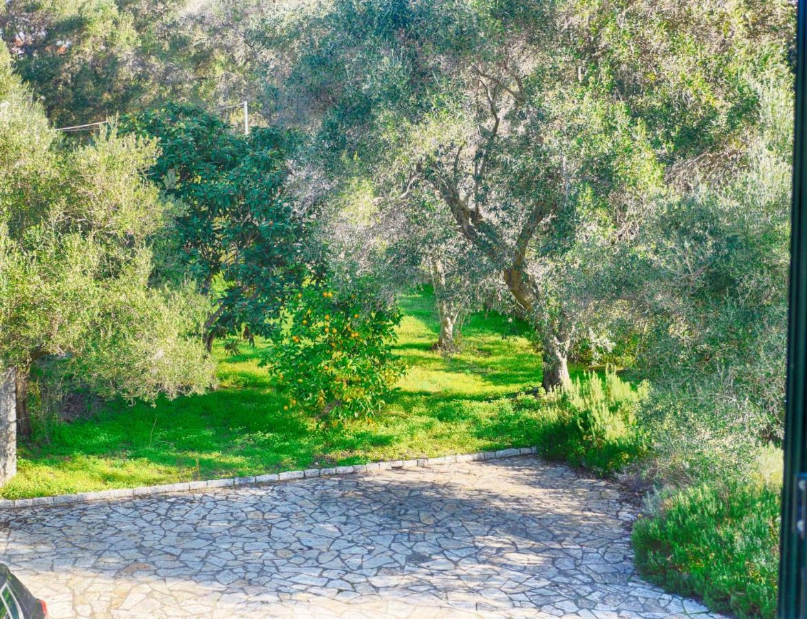 Villa Afionas - 3 Minutes From The Beach With Heated Eco-Pool And Sunset View Esterno foto